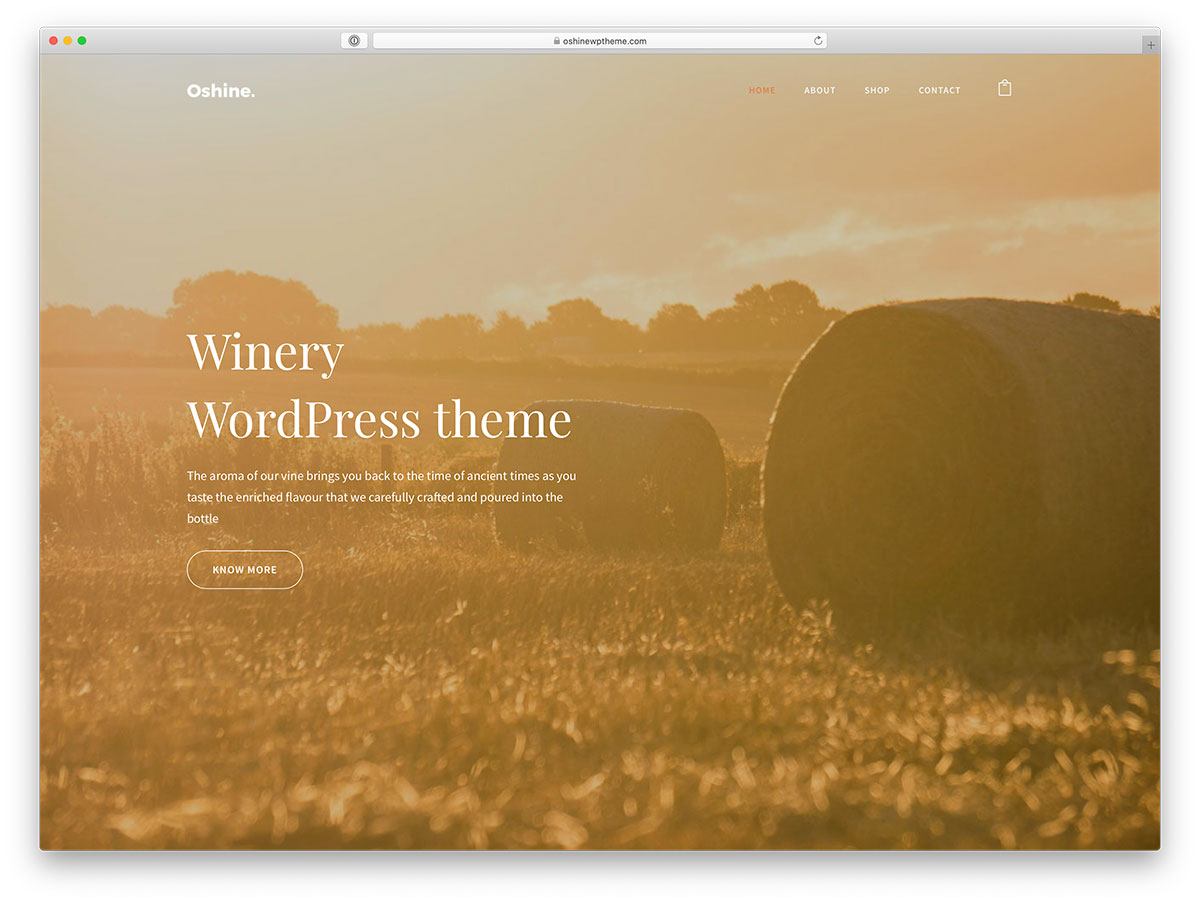 와인 가게 WordPress 테마