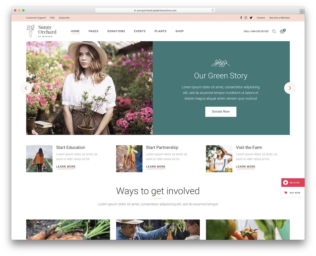 tema de wordpress de paisajismo de sunnyorchard