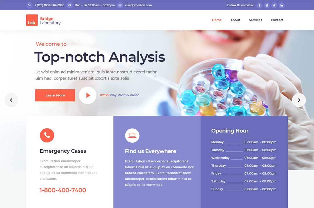 tema de wordpress de ciencia puente