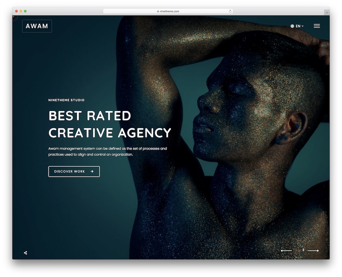 tema de wordpress de pantalla completa de awam