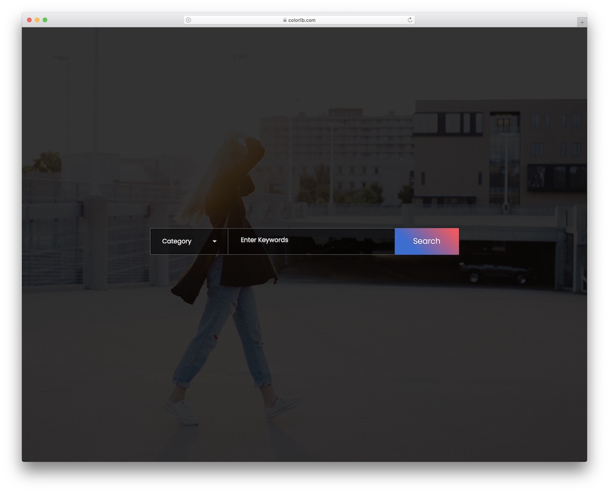 แบบฟอร์มการค้นหา colorlib 25