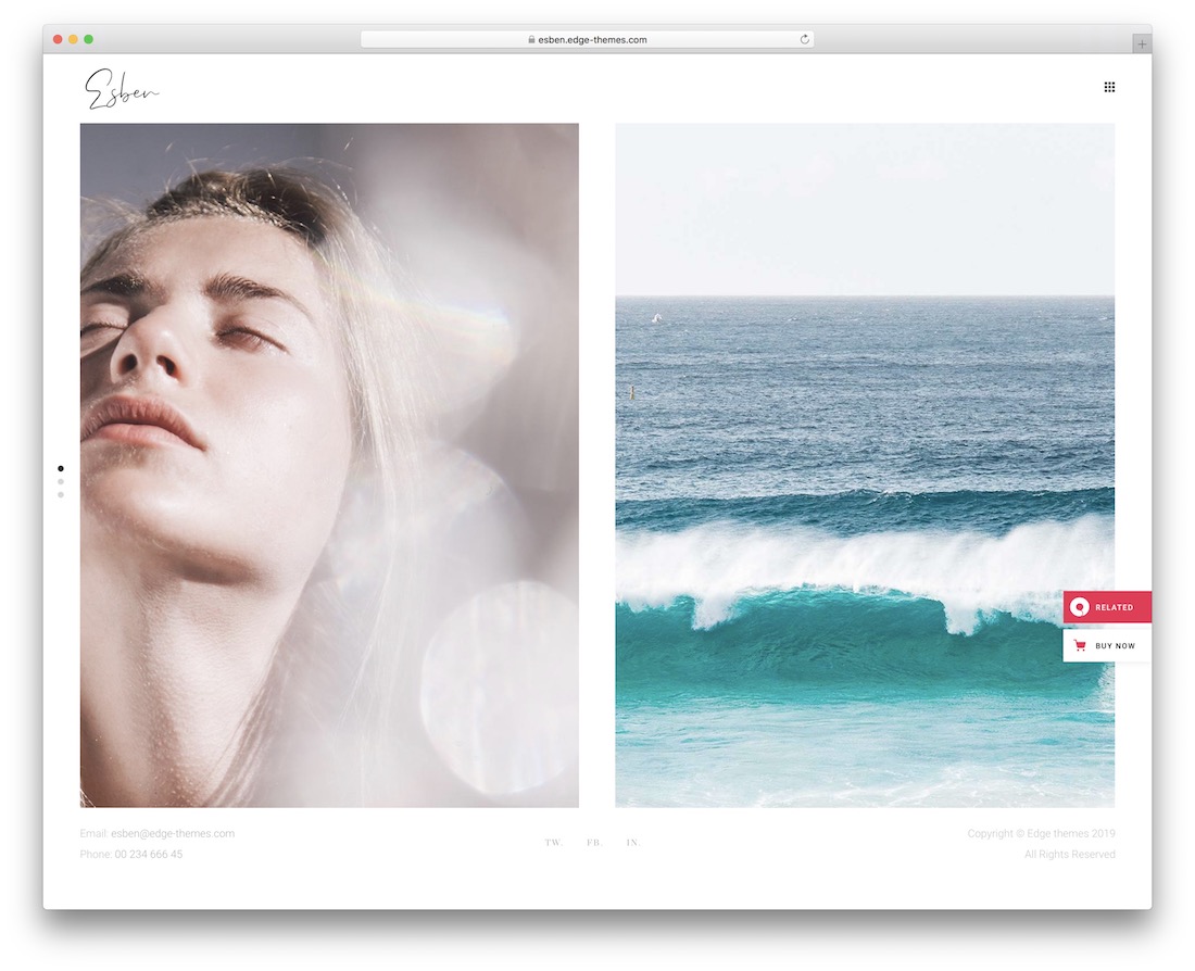 tema galeri wordpress esben