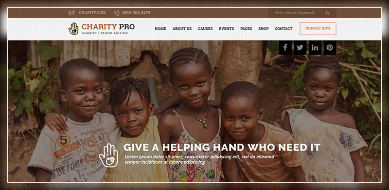 Charity Pro : 慈善和筹款 WordPress 主题