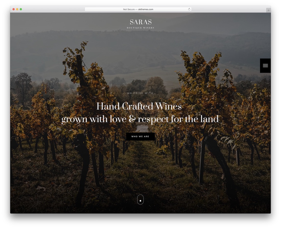 modello di sito web saras wine