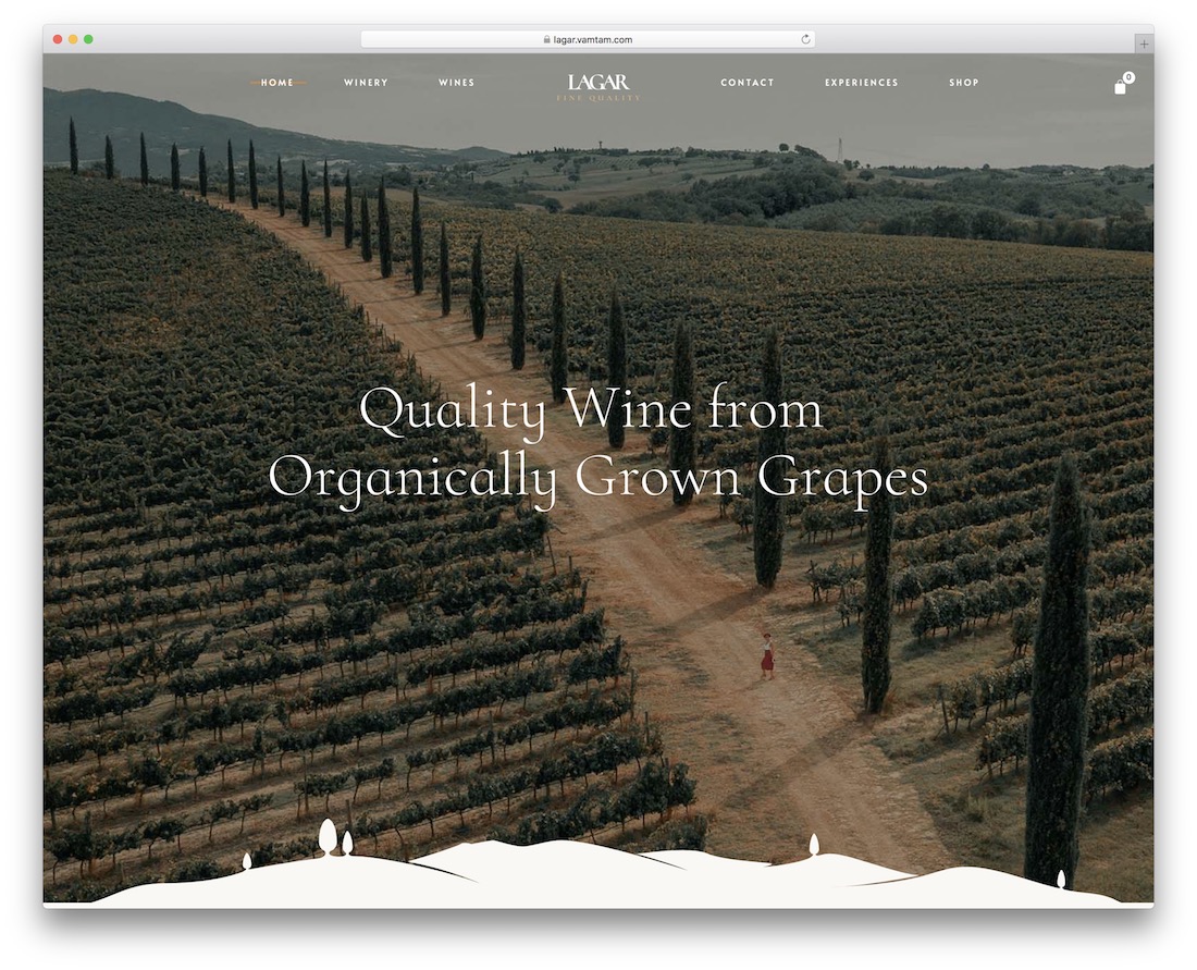 tema wordpress vino lagar