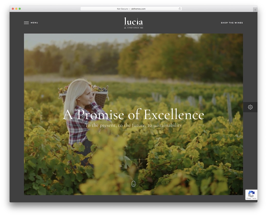 lucia wine wordpress tema