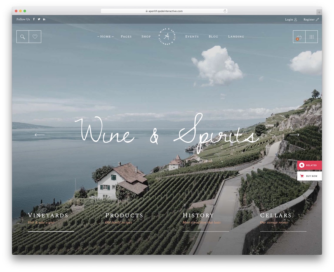 modello di sito web di vino aperitivo