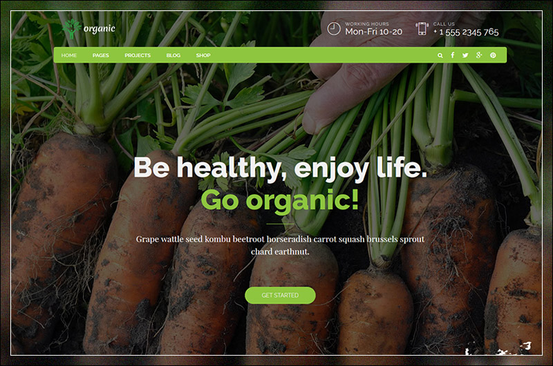 อาหารออร์แกนิก - นักโภชนาการและอาหาร WordPress ธีม