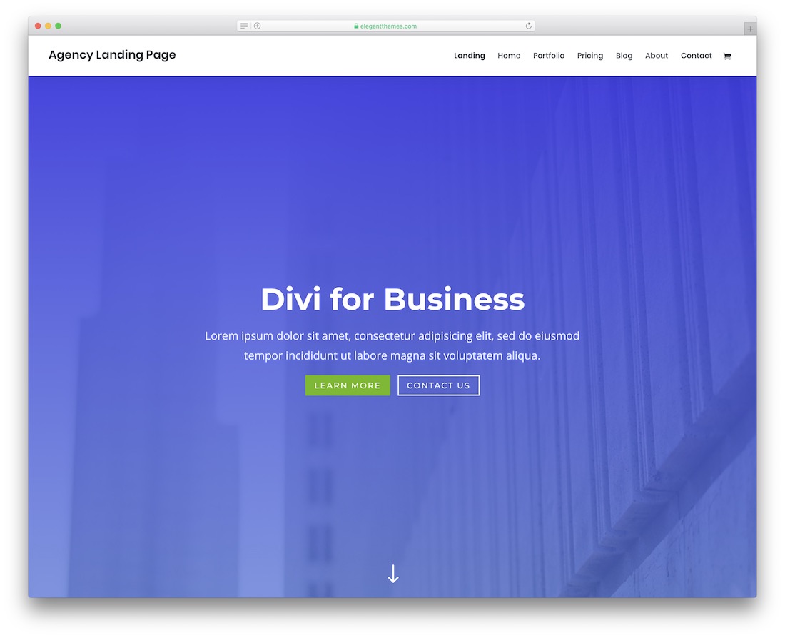 modèle de site Web d'entreprise divi