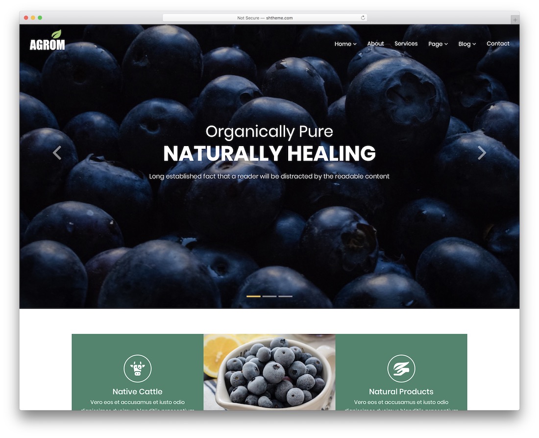 agrom zielony ekologiczny motyw wordpress