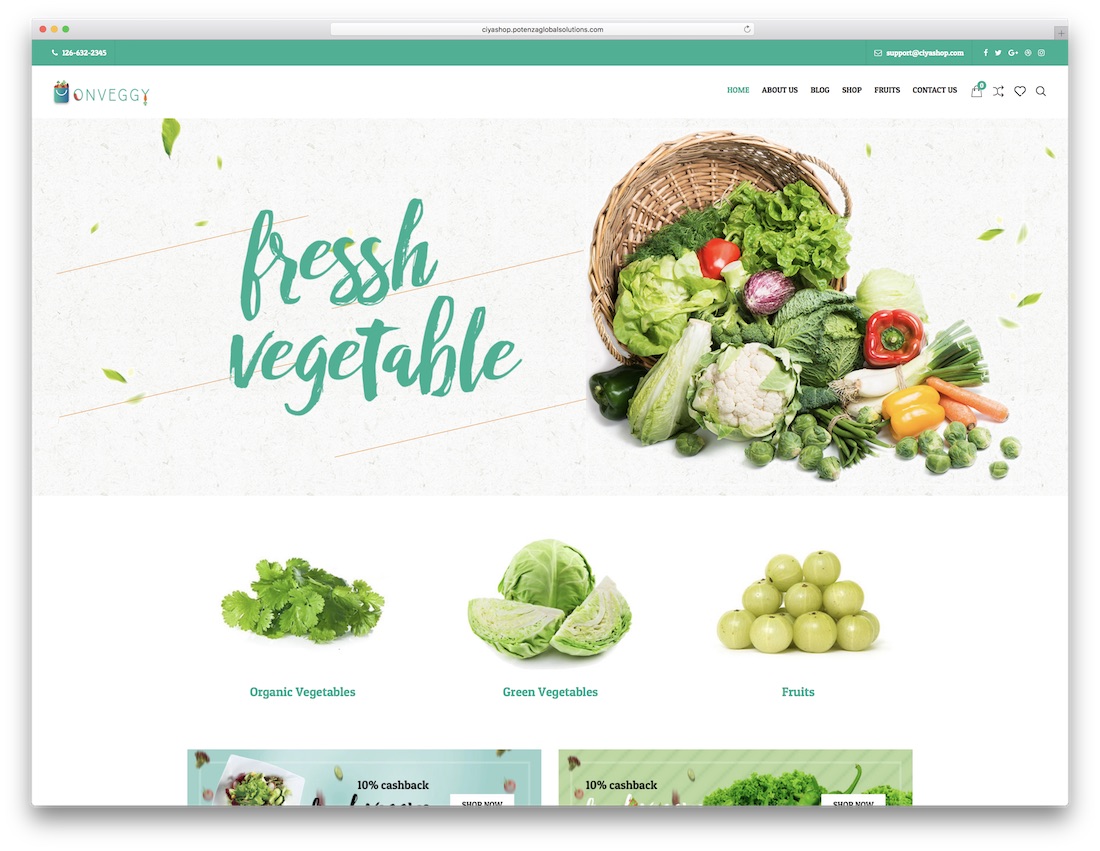 Ciyashop zielony, ekologiczny motyw wordpress