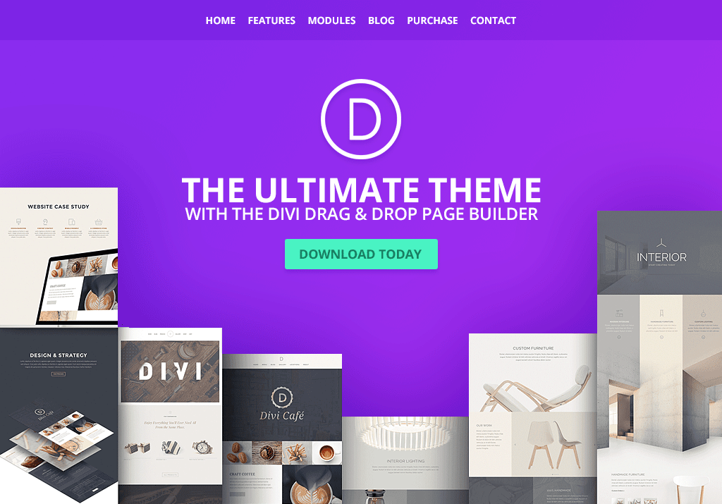 popüler WooCommerce teması