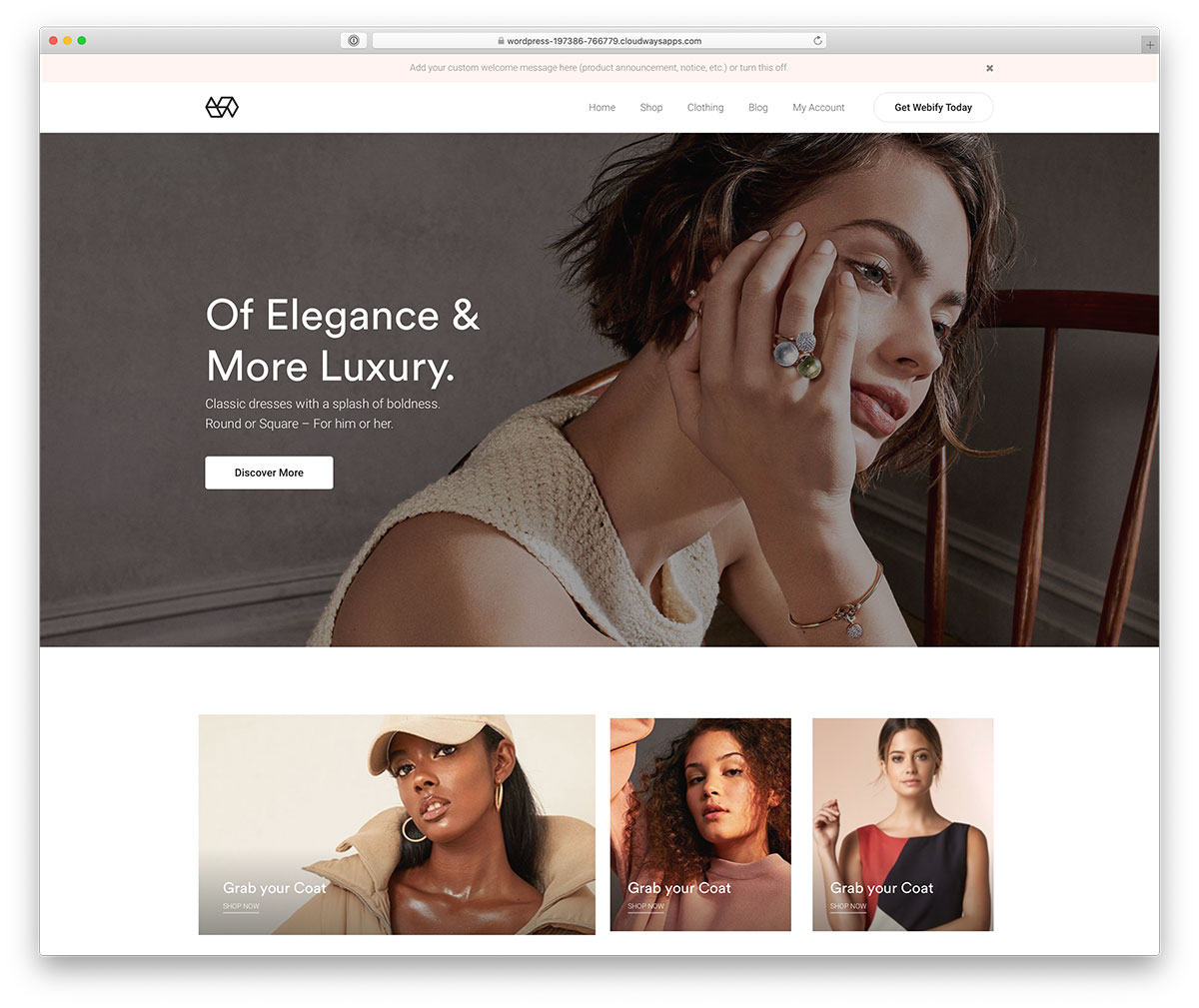 WordPress için moda e-ticaret teması