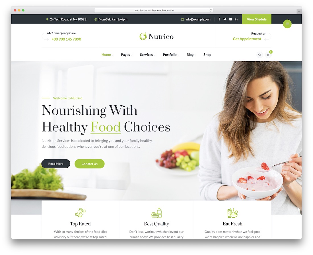 nutrico 附属 wordpress 主题