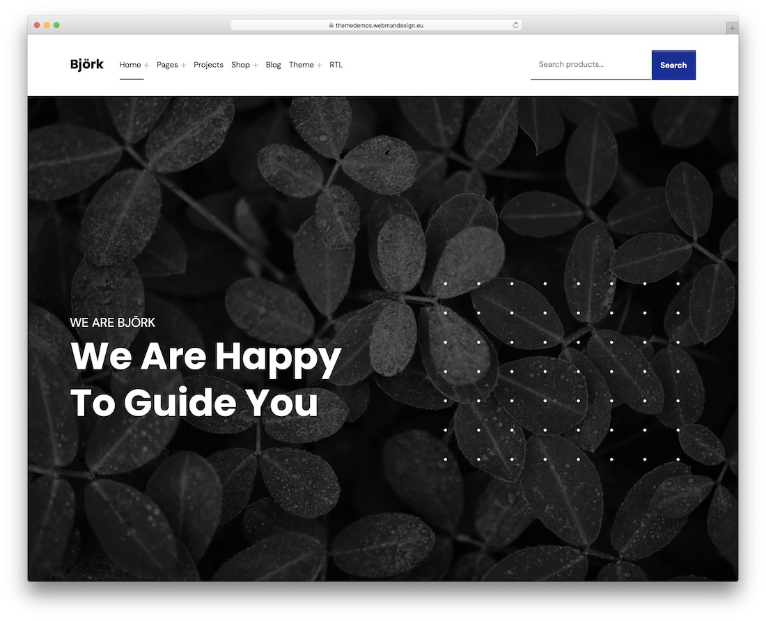 tema wordpress accessibile bjork