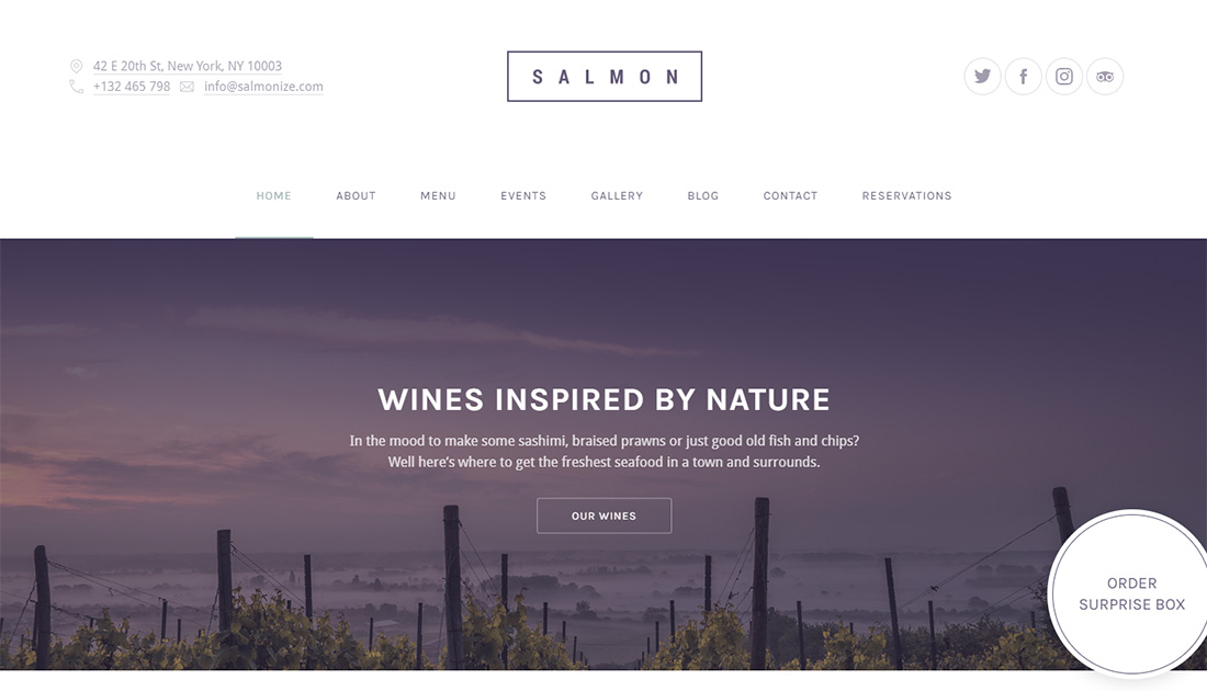 Tema WordPress accessibile al salmone