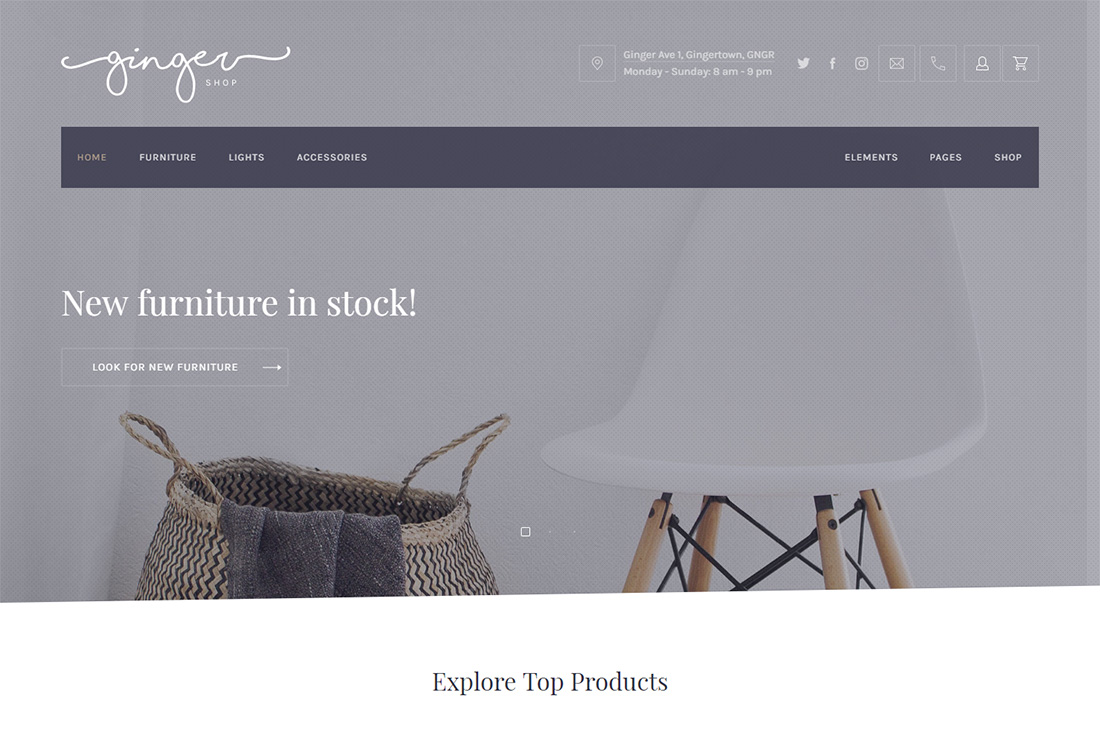 Tema WordPress accessibile allo zenzero