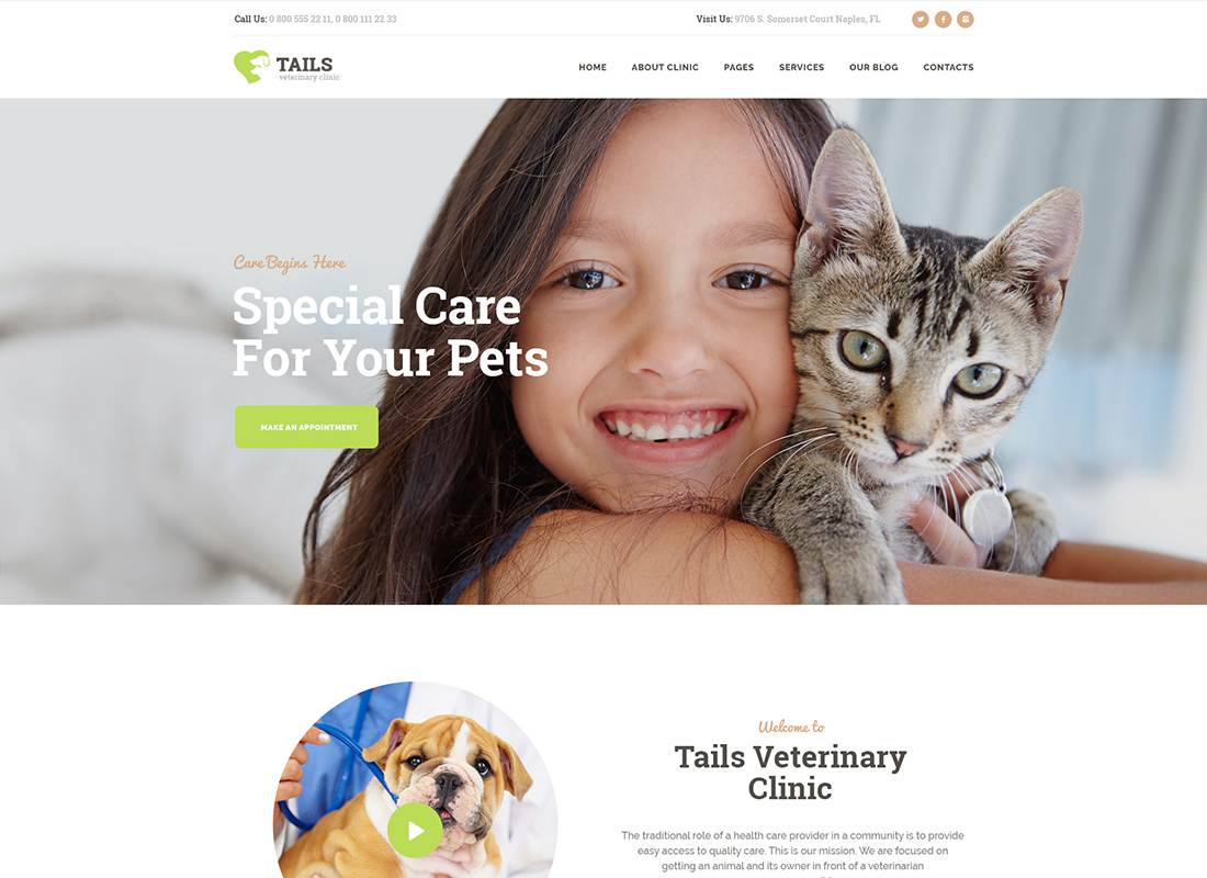หาง | คลินิกสัตวแพทย์ ดูแลสัตว์เลี้ยง & ช็อป WordPress Theme