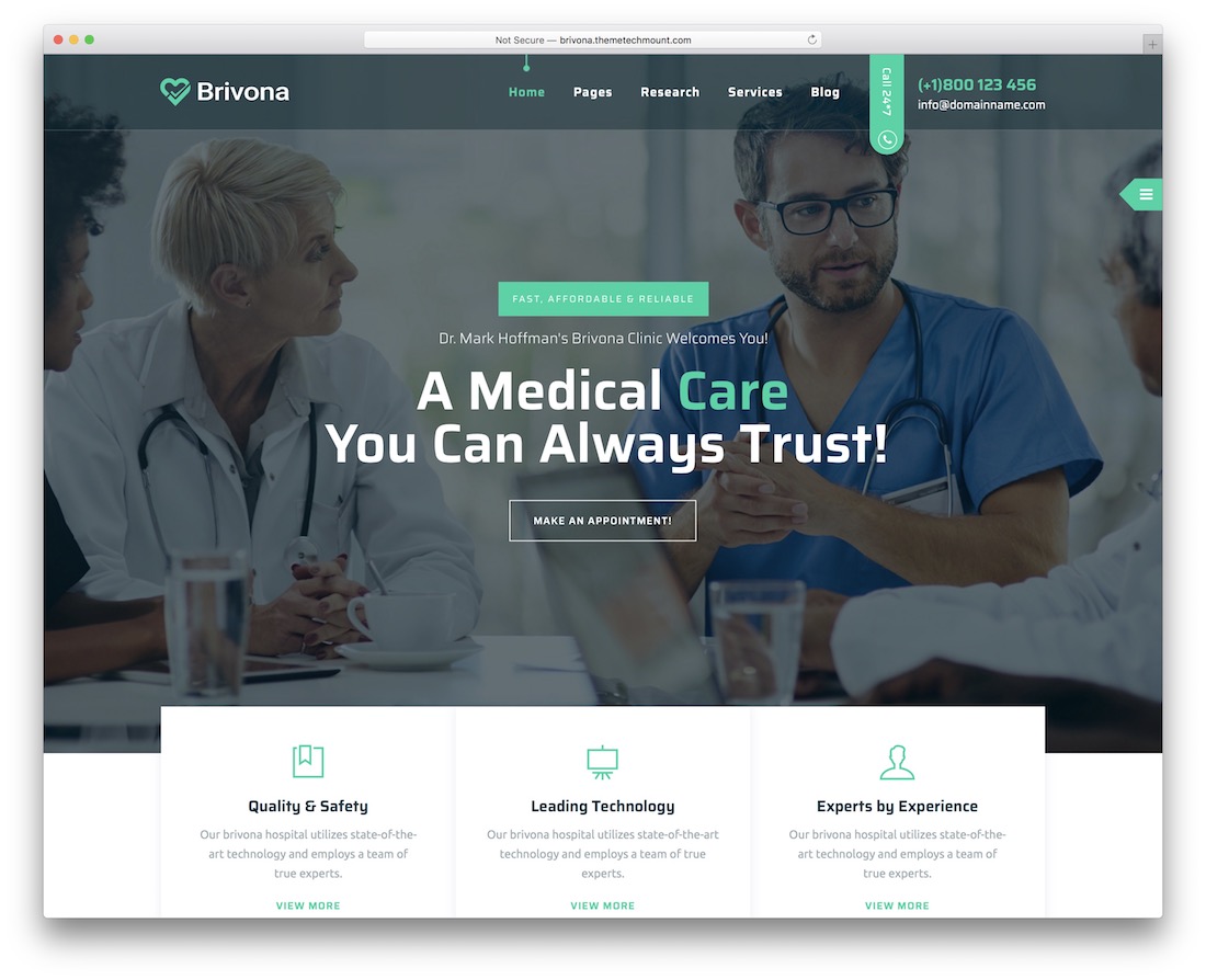 brivona wordpress theme