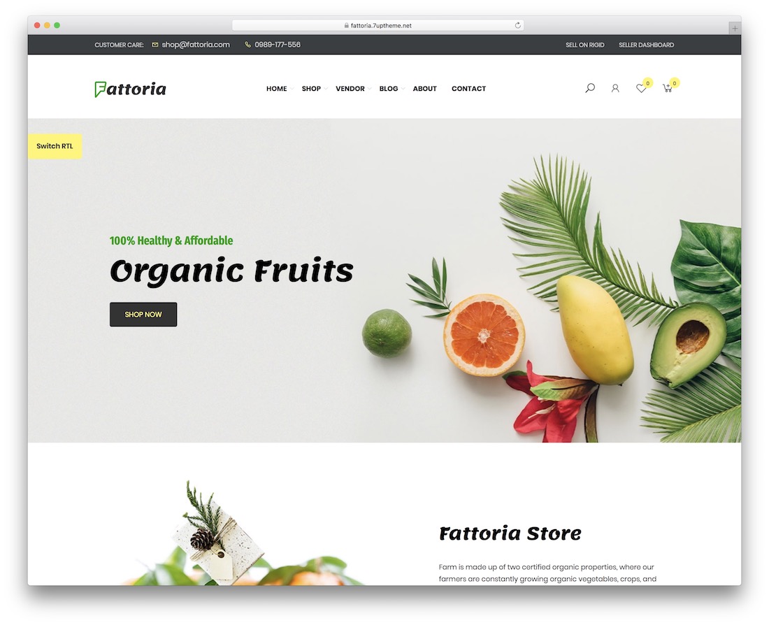 fattoria wordpress teması
