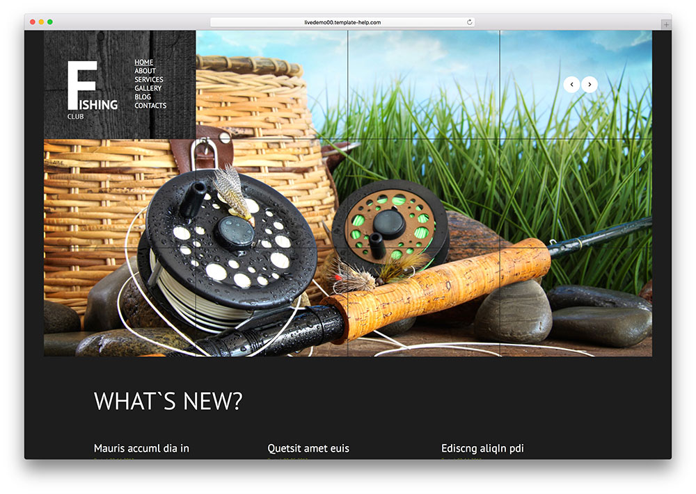 47019-responsive-wordpress-fishing-theme