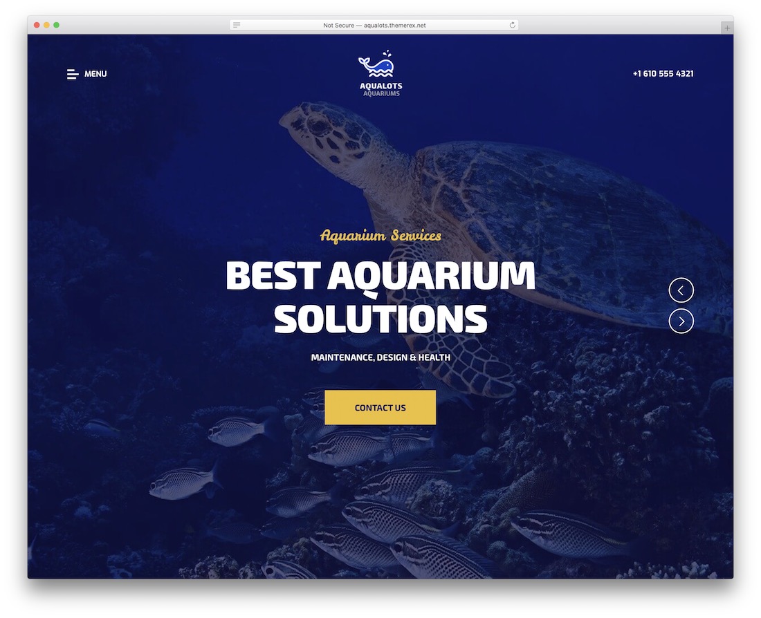 Aqualots Wordpress Angeln Thema