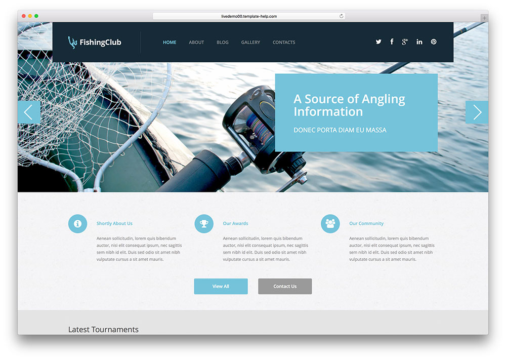 50743-kreative-fiahing-Website-Vorlage
