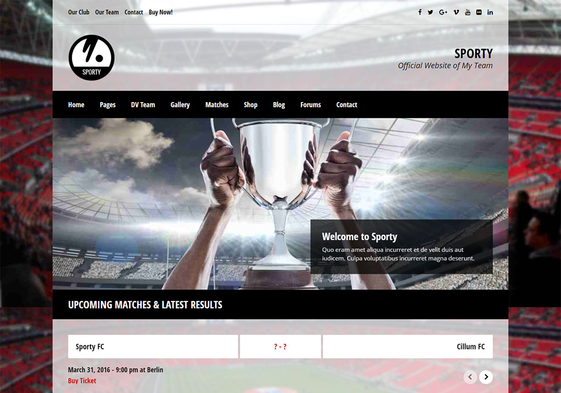 Tema de WordPress de béisbol deportivo