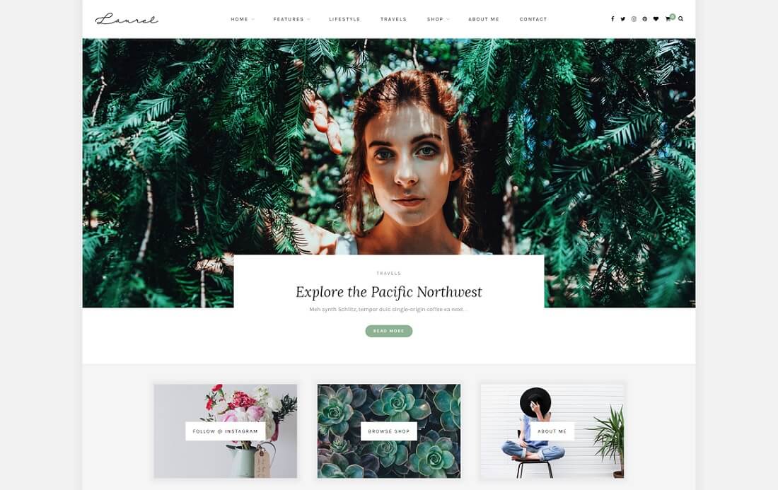 tema de instagram de laurel wordpress