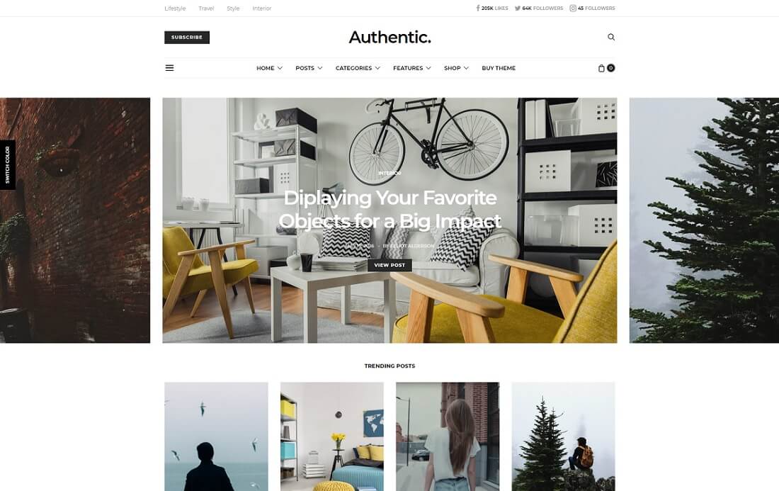 auténtico tema de instagram de wordpress