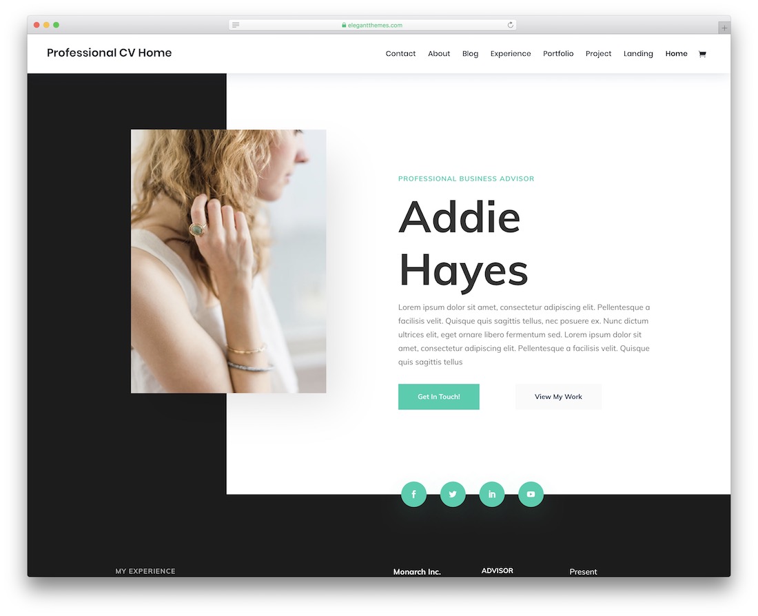 modèle de site Web de cv de curriculum vitae divi