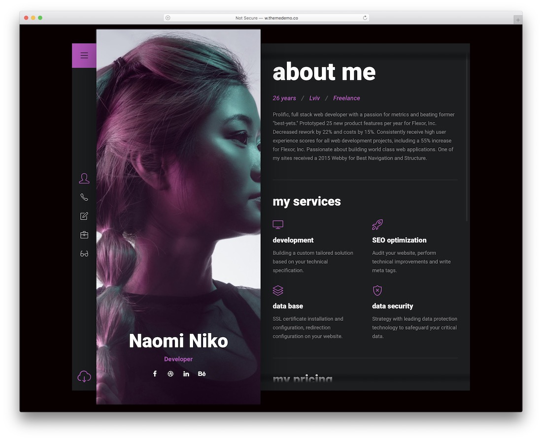 modèle de CV Niko