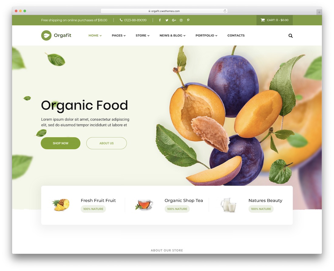 帶滑塊的 orgafit wordpress 主題