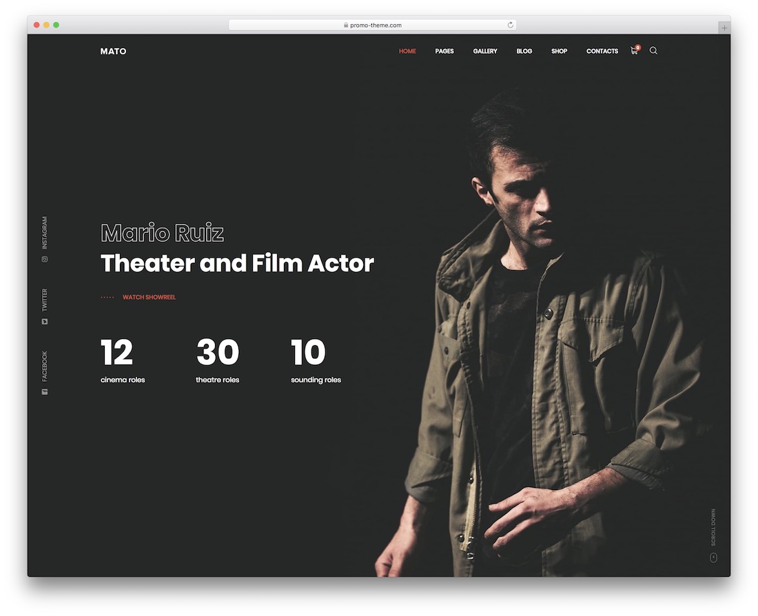 modèle de site Web d'acteur mato