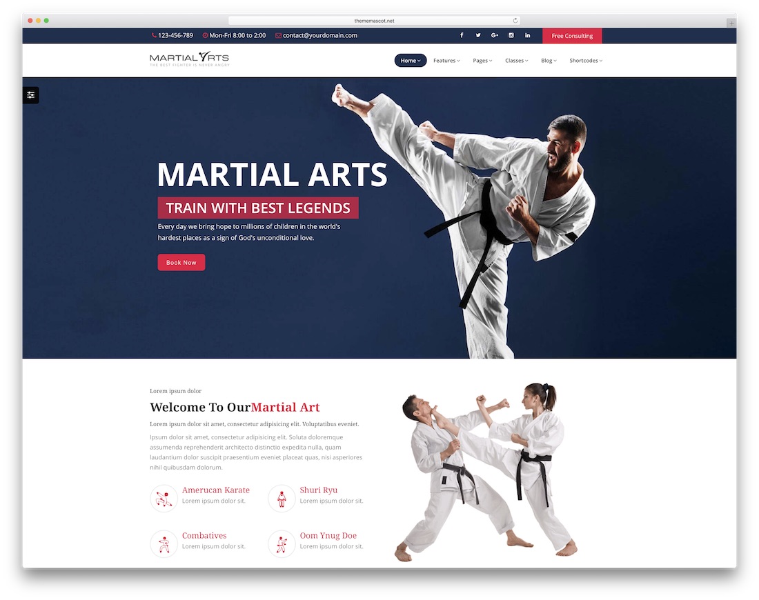 modelo de site da comunidade martialarts