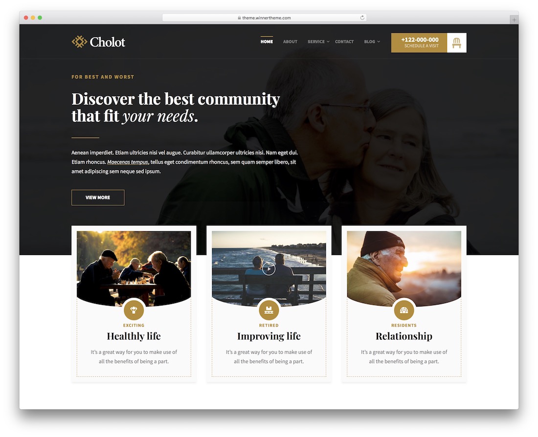 modelo de site da comunidade cholot