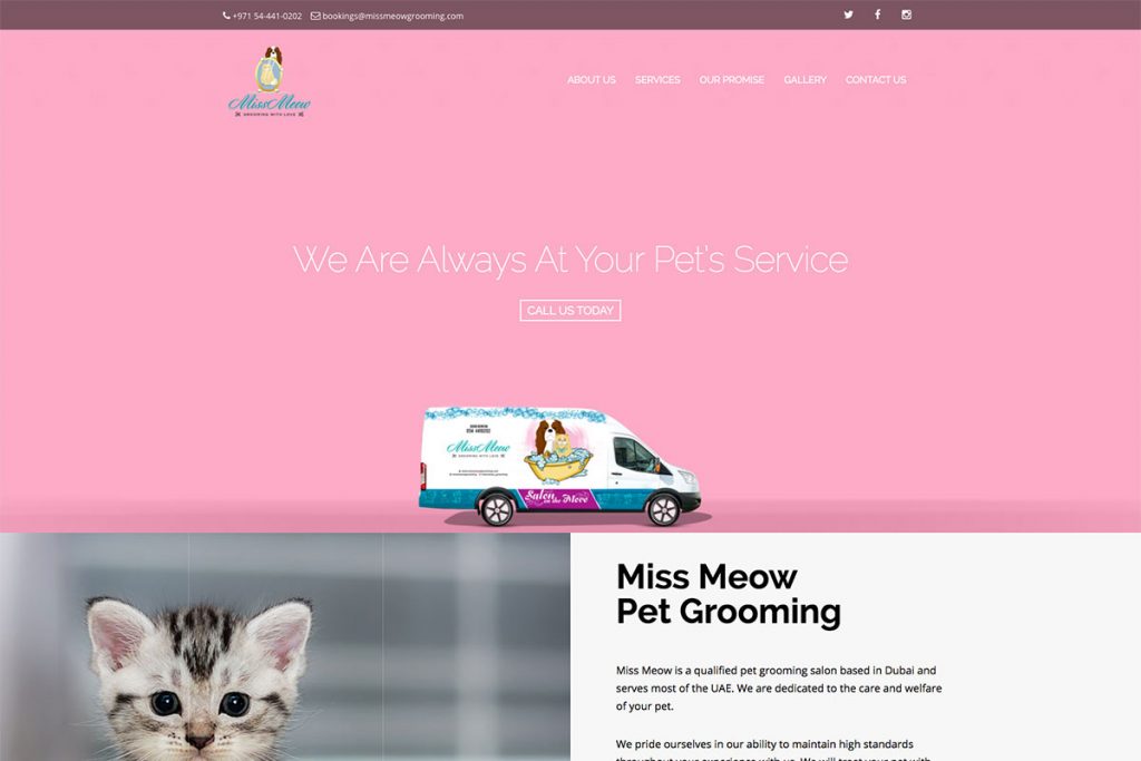 Miss Meow Grooming
