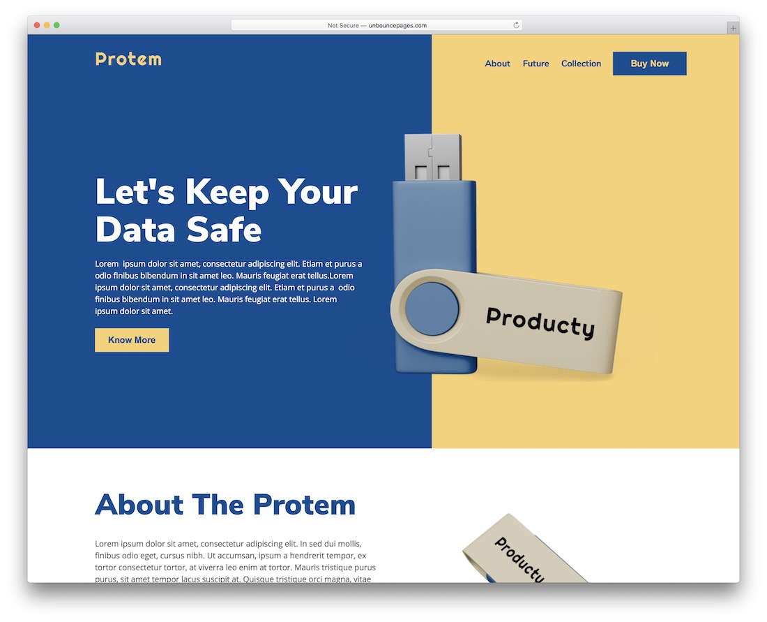 modèle de page de destination protem unbounce