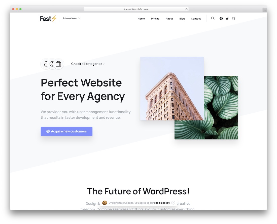 Essentials Mehrzweck-Wordpress-Theme