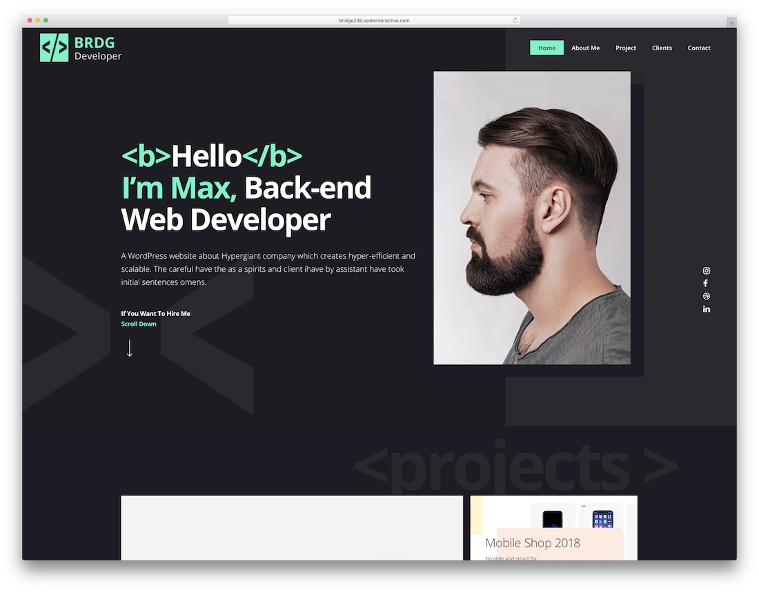 Bridge WordPress Theme für Programmierer