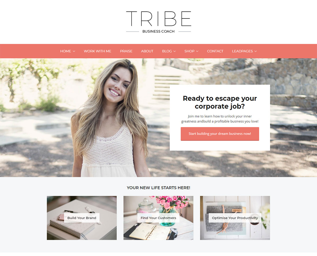 thèmes wordpress de haut-parleur