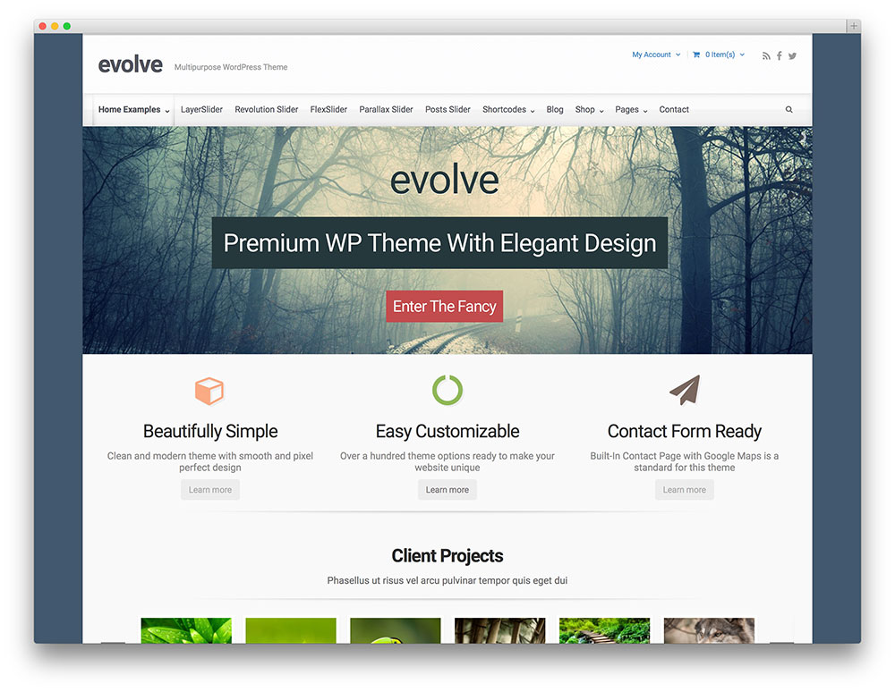 evelo企業のWordPressテーマ
