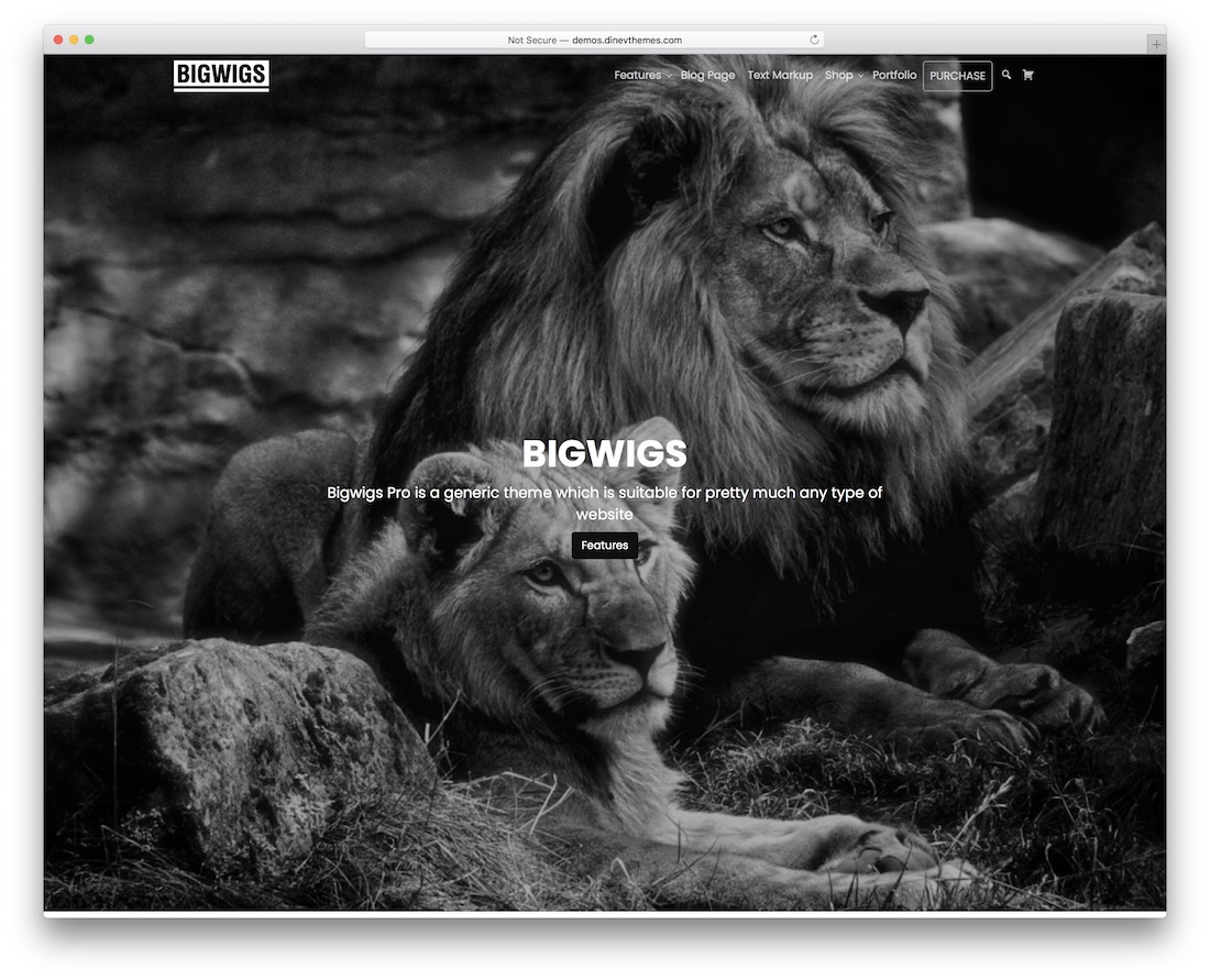 bigwigs無料のワードプレスポートフォリオテーマ