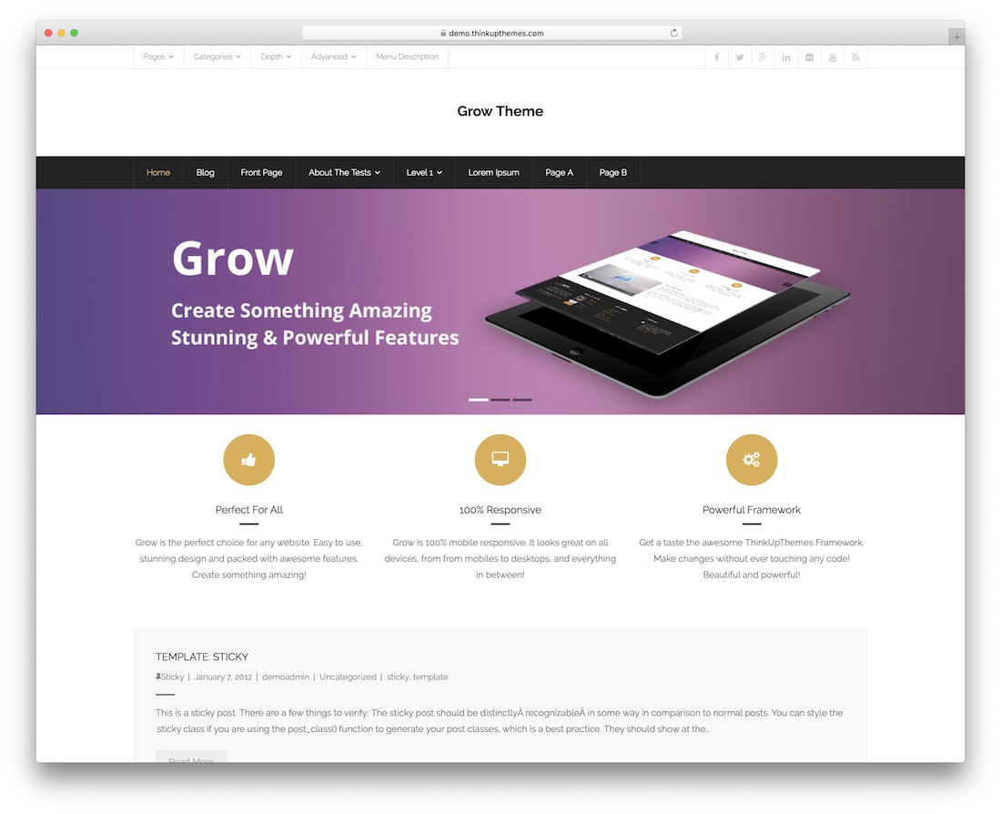 Rozwiń darmowy motyw wordpress