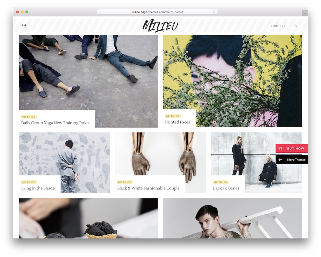 milieu art wordpress theme