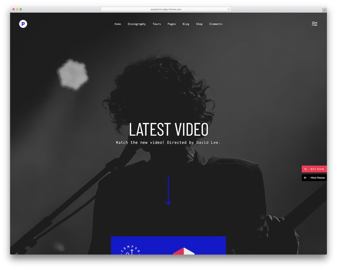 tema wordpress polifônico para artistas