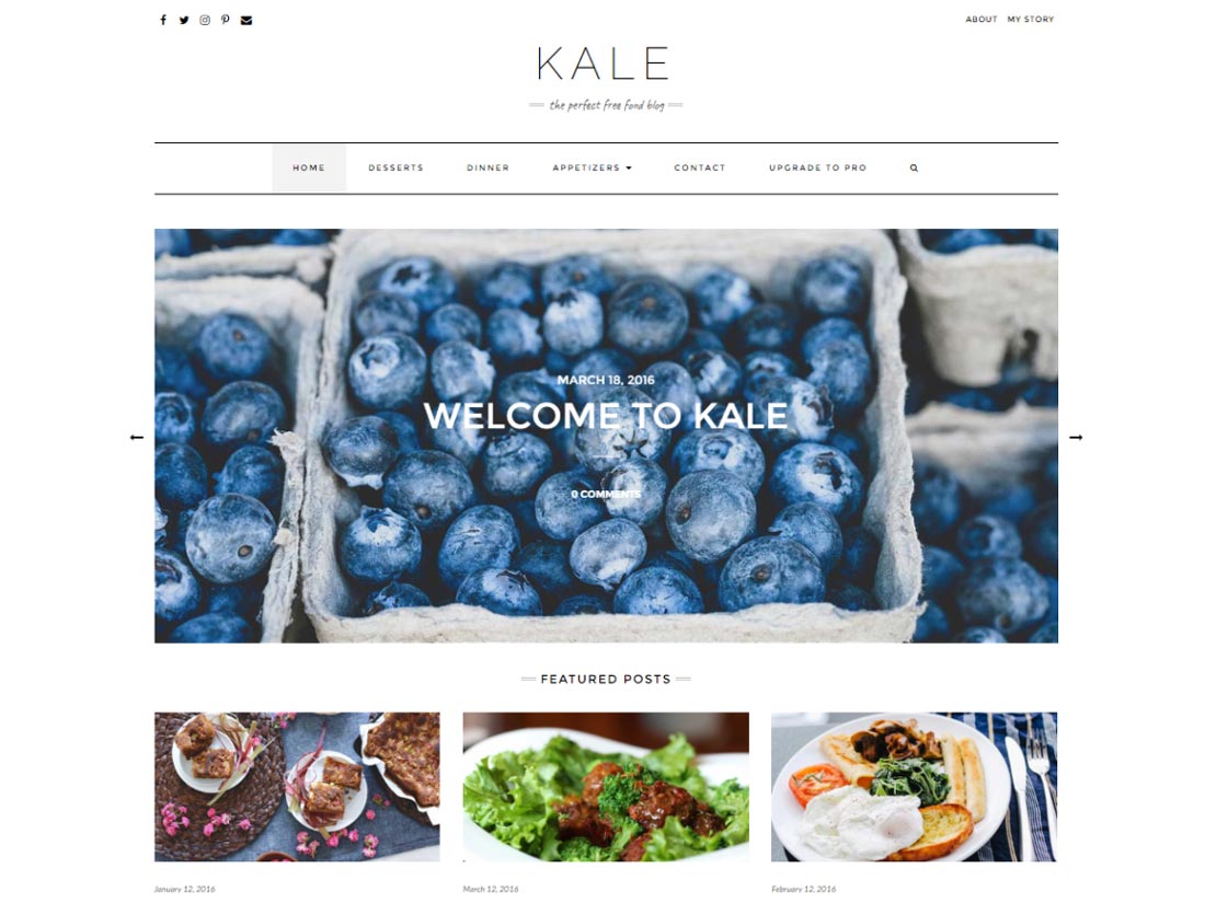 darmowe motywy WordPress