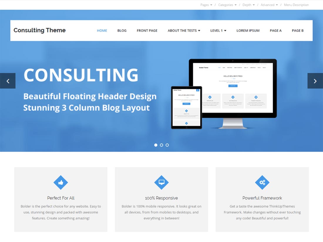 darmowe motywy WordPress