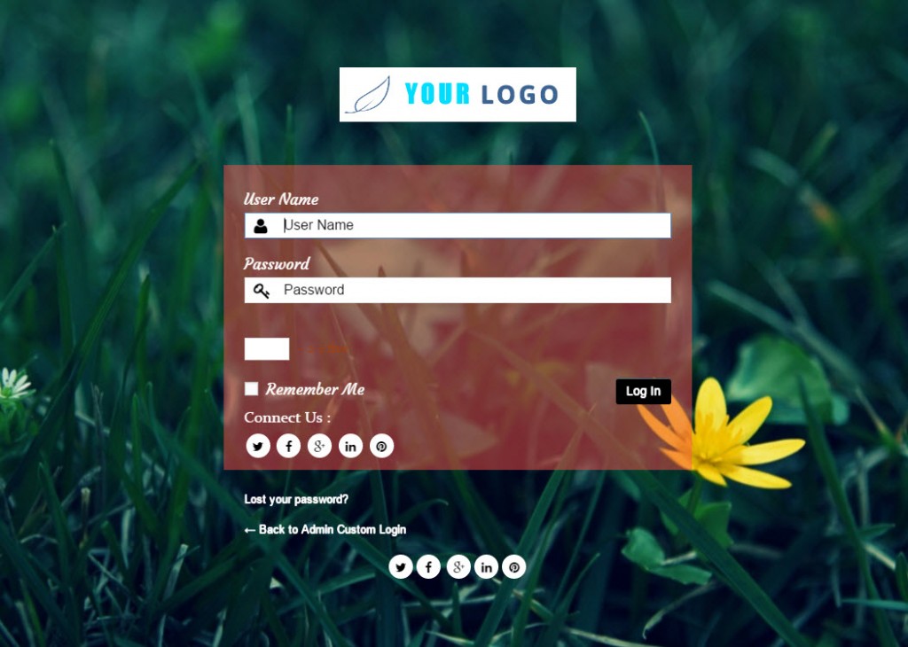 Ausgabe des benutzerdefinierten Login-Plugins