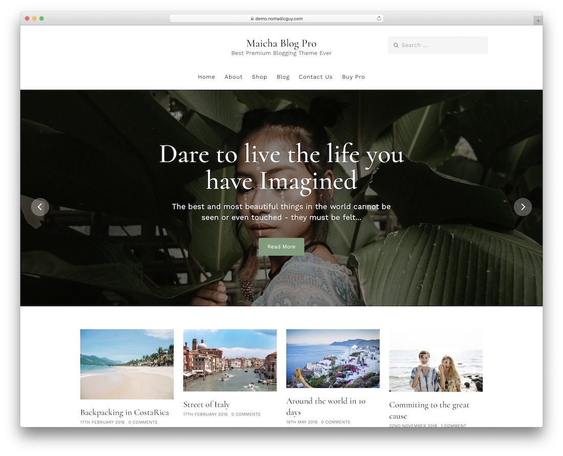 ธีมบล็อก WordPress ของ maicha ฟรี